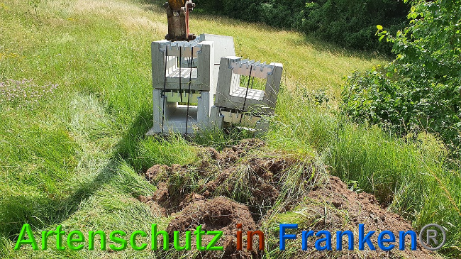 © Artenschutz in Franken® Bild zum Eintrag (1027287-160)