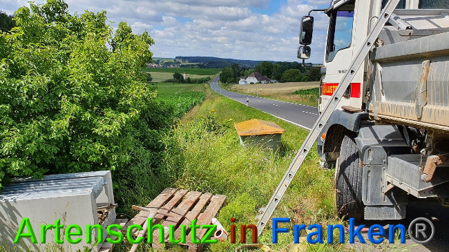 © Artenschutz in Franken® Bild zum Eintrag (1027291-160)