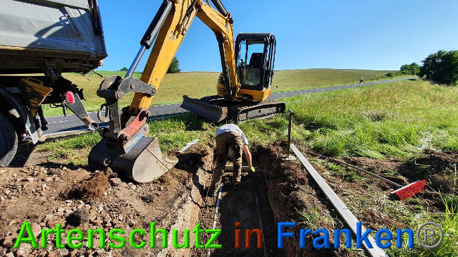 © Artenschutz in Franken® Bild zum Eintrag (1027294-160)