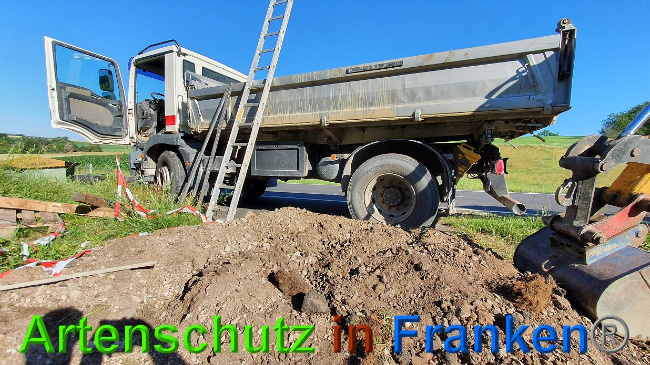 © Artenschutz in Franken® Bild zum Eintrag (1027295-160)