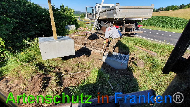 © Artenschutz in Franken® Bild zum Eintrag (1027298-160)