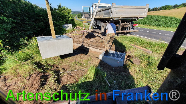 © Artenschutz in Franken® Bild zum Eintrag (1027299-160)