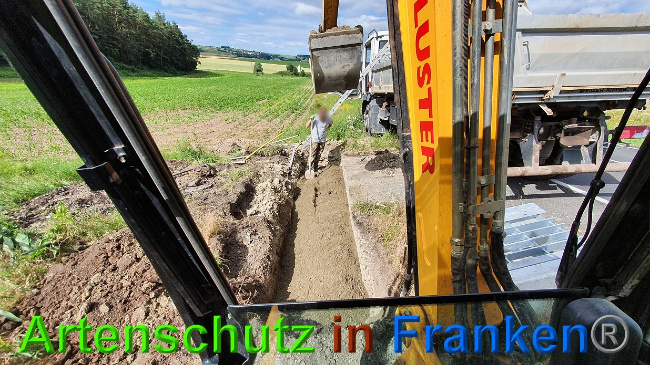 © Artenschutz in Franken® Bild zum Eintrag (1027301-160)