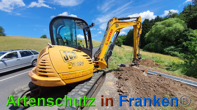 © Artenschutz in Franken® Bild zum Eintrag (1027303-160)