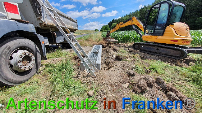 © Artenschutz in Franken® Bild zum Eintrag (1027305-160)