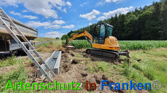 © Artenschutz in Franken® Bild zum Eintrag (1027306-160)