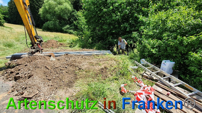 © Artenschutz in Franken® Bild zum Eintrag (1027307-160)