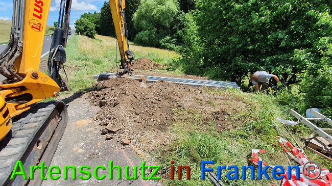 © Artenschutz in Franken® Bild zum Eintrag (1027309-160)