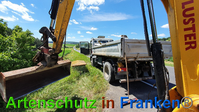 © Artenschutz in Franken® Bild zum Eintrag (1027311-160)