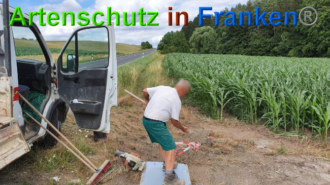 © Artenschutz in Franken® Bild zum Eintrag (1027313-160)