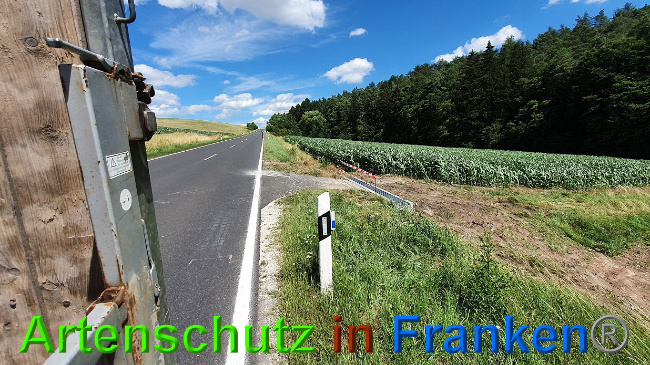 © Artenschutz in Franken® Bild zum Eintrag (1027315-160)