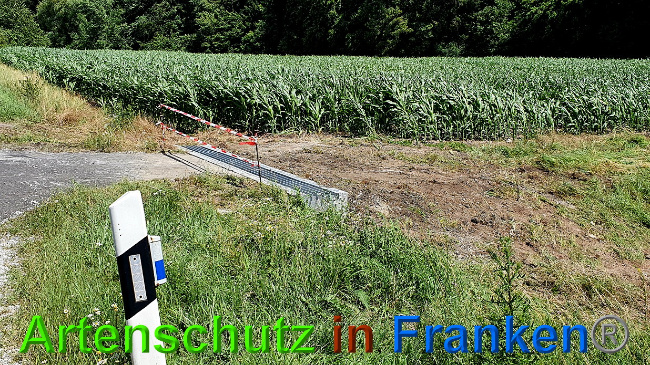 © Artenschutz in Franken® Bild zum Eintrag (1027317-160)