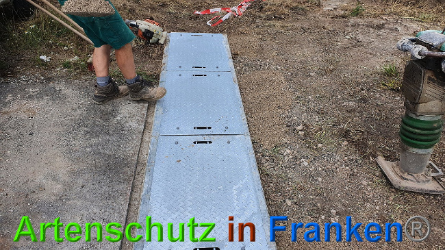 © Artenschutz in Franken® Bild zum Eintrag (1027320-160)