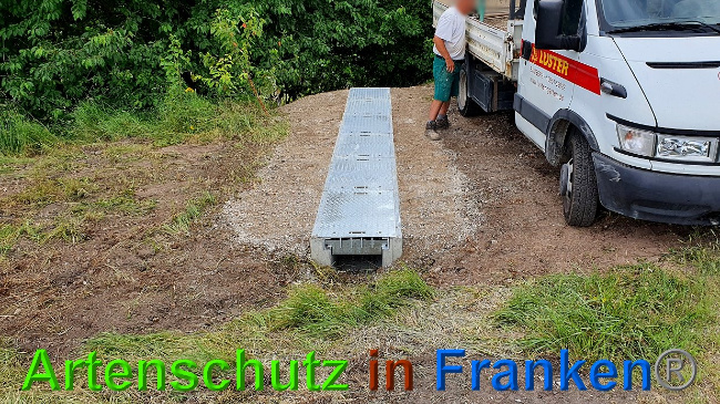© Artenschutz in Franken® Bild zum Eintrag (1027321-160)
