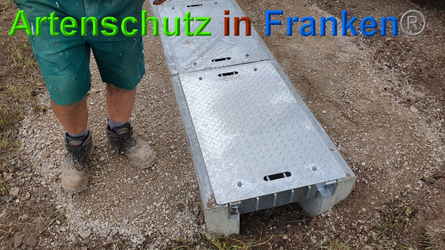 © Artenschutz in Franken® Bild zum Eintrag (1027326-160)