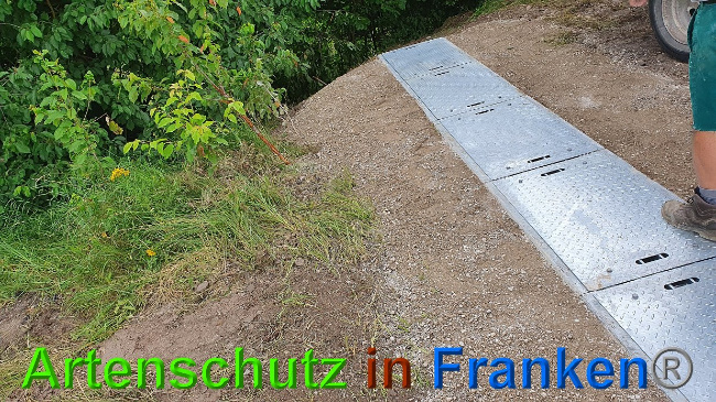 © Artenschutz in Franken® Bild zum Eintrag (1027327-160)