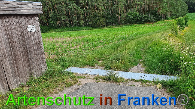 © Artenschutz in Franken® Bild zum Eintrag (1027330-160)