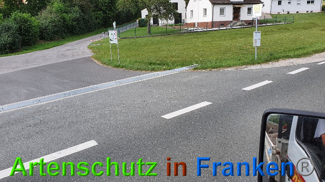 © Artenschutz in Franken® Bild zum Eintrag (1027331-160)