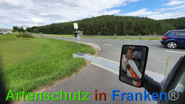 © Artenschutz in Franken® Bild zum Eintrag (1027336-160)