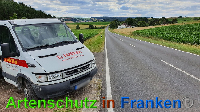 © Artenschutz in Franken® Bild zum Eintrag (1027337-160)