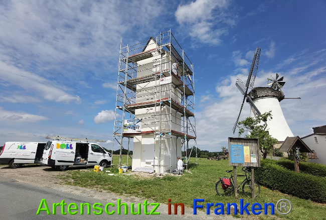 © Artenschutz in Franken® / Vennemann Bild zum Eintrag (1027403-160)