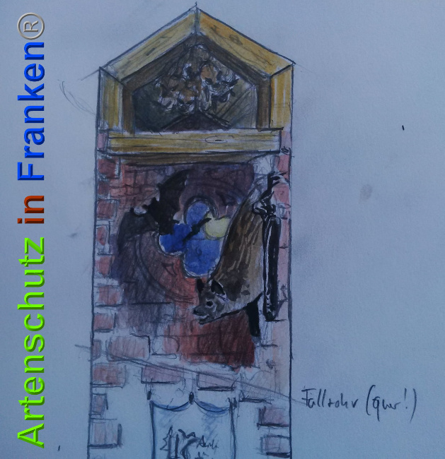 © Artenschutz in Franken® Bild zum Eintrag (1027416-160)