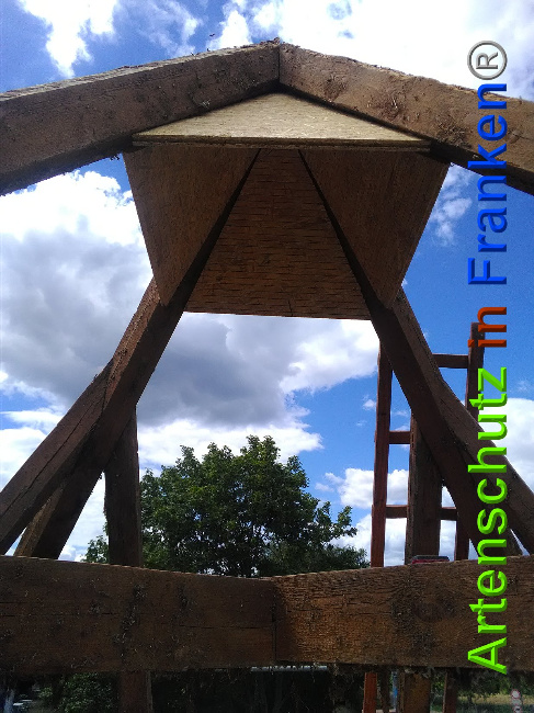 © Artenschutz in Franken® Bild zum Eintrag (1027428-160)