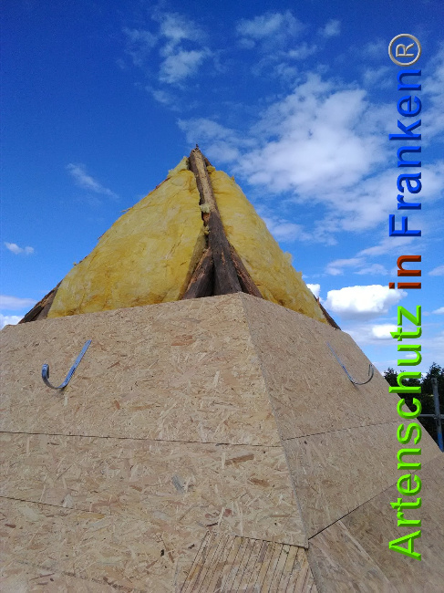 © Artenschutz in Franken® Bild zum Eintrag (1027435-160)