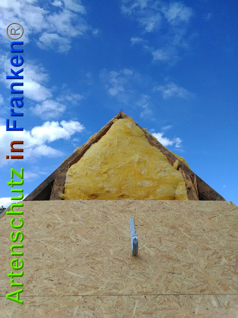 © Artenschutz in Franken® Bild zum Eintrag (1027436-160)