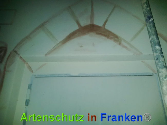© Artenschutz in Franken® / Horn Bild zum Eintrag (1027453-160)