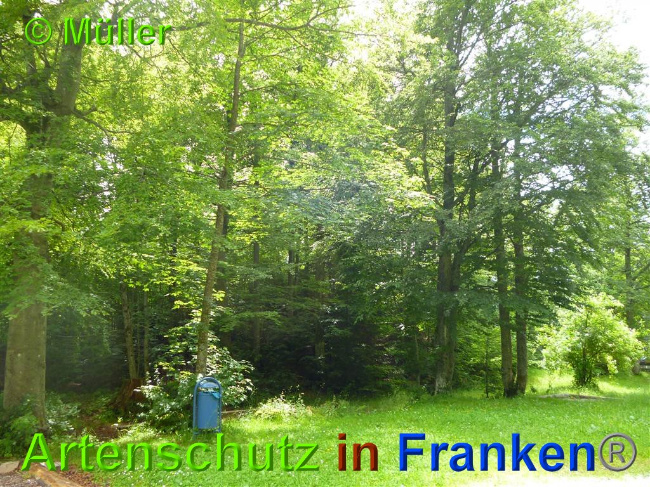 Bild zum Eintrag (1027489-160)