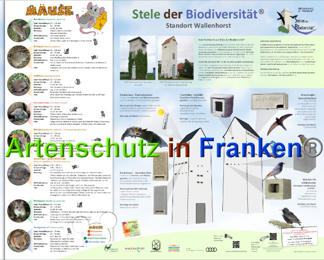 © Artenschutz in Franken® Bild zum Eintrag (1027530-160)