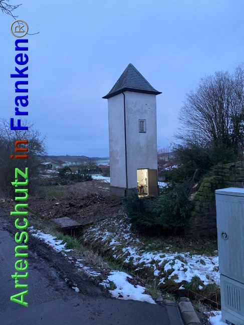 © Artenschutz in Franken® / Keber Bild zum Eintrag (1027582-160)