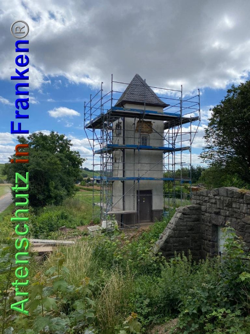 © Artenschutz in Franken® / Keber Bild zum Eintrag (1027586-160)