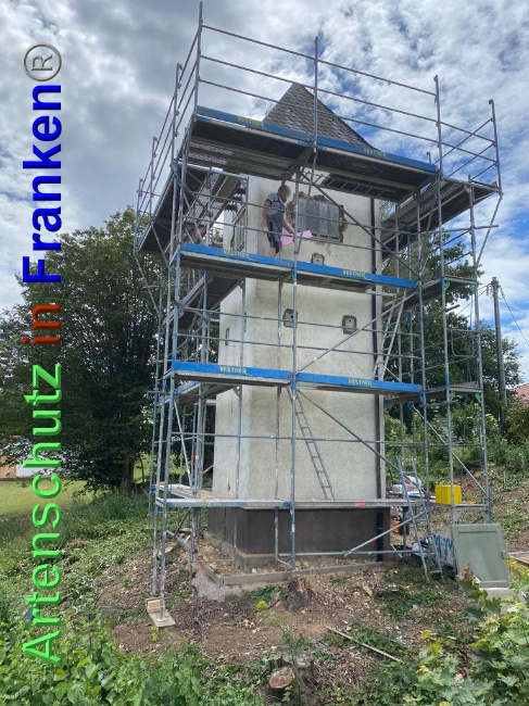 © Artenschutz in Franken® / Keber Bild zum Eintrag (1027588-160)