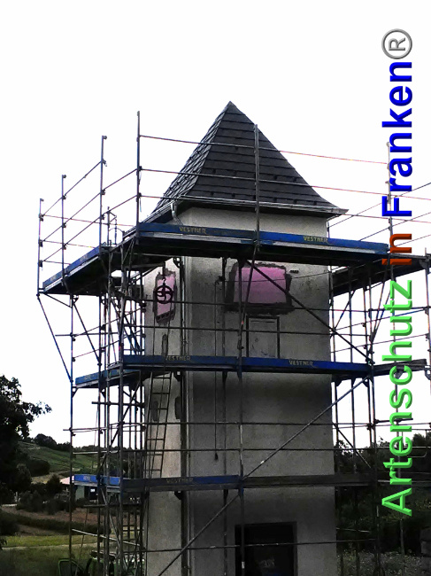 © Artenschutz in Franken® Bild zum Eintrag (1027605-160)