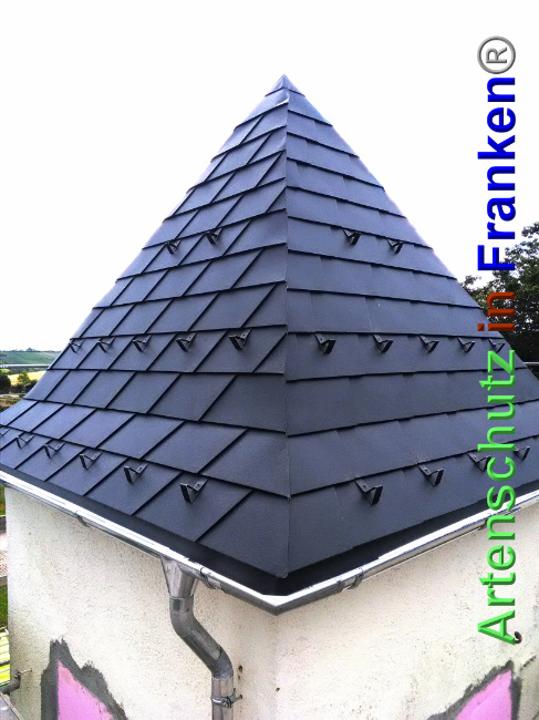 © Artenschutz in Franken® Bild zum Eintrag (1027606-160)