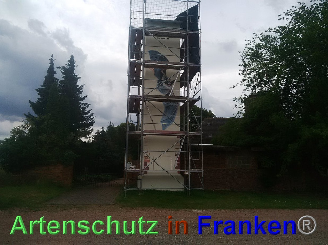 © Artenschutz in Franken® Bild zum Eintrag (1027616-160)