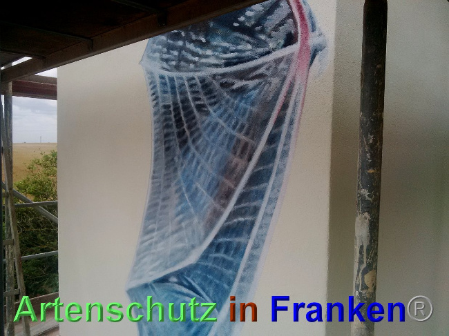 © Artenschutz in Franken® Bild zum Eintrag (1027622-160)