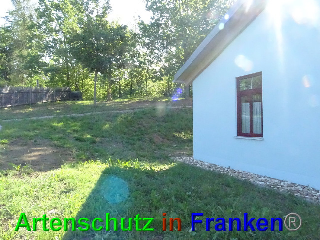 Bild zum Eintrag (1027699-160)