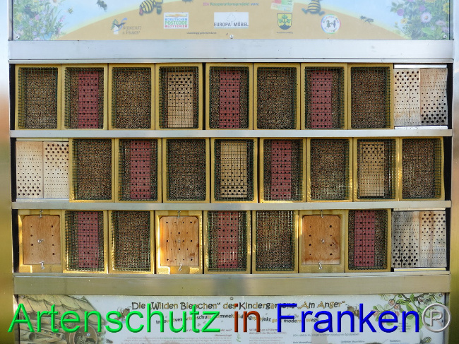 © Artenschutz in Franken® Bild zum Eintrag (1027722-160)