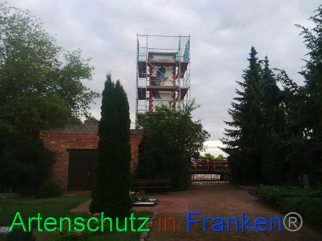 © Artenschutz in Franken® Bild zum Eintrag (1027817-160)