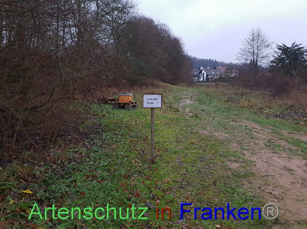 Bild zum Eintrag (102789-160)