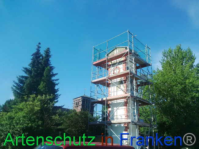 © Artenschutz in Franken® Bild zum Eintrag (1027903-160)