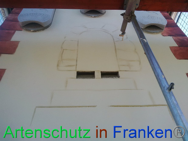 © Artenschutz in Franken® Bild zum Eintrag (1027906-160)