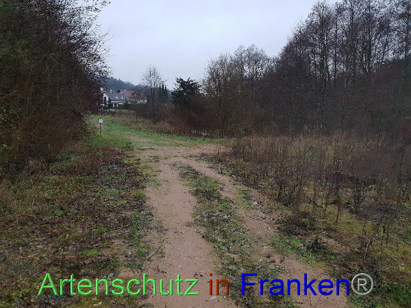 Bild zum Eintrag (102795-160)