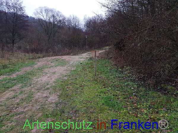 Bild zum Eintrag (102796-160)