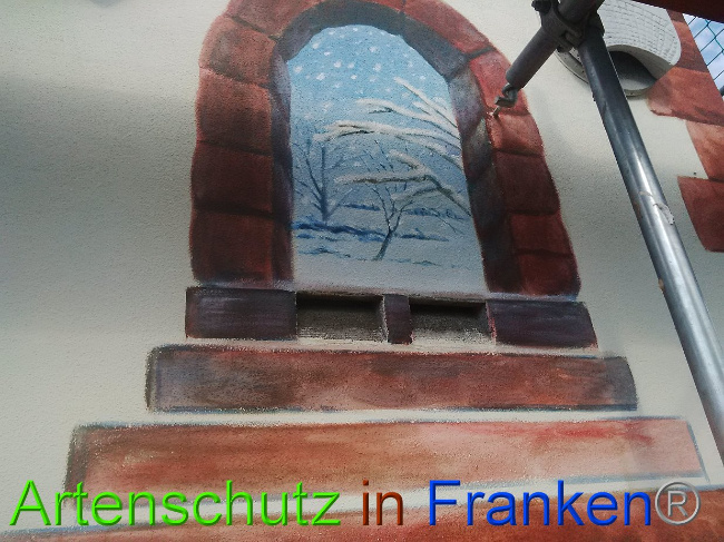 © Artenschutz in Franken® Bild zum Eintrag (1027988-160)