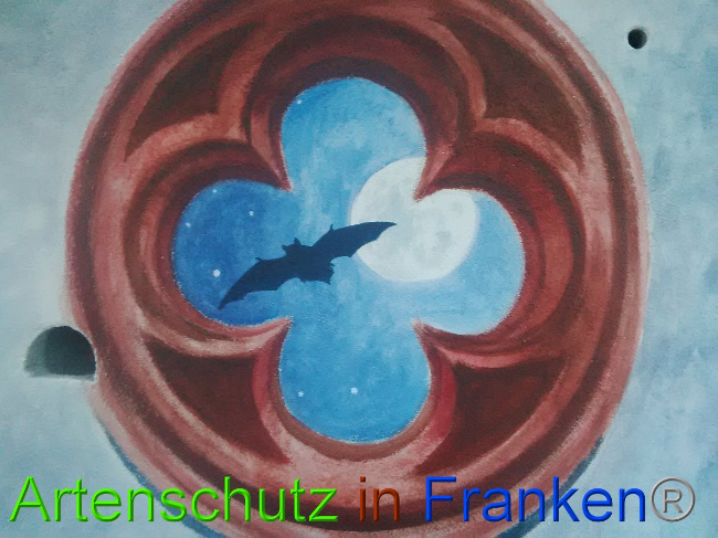 © Artenschutz in Franken® Bild zum Eintrag (1027989-160)