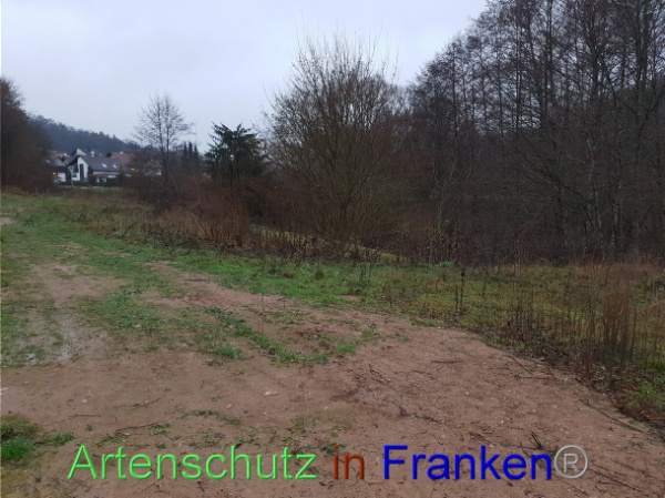 Bild zum Eintrag (102799-160)